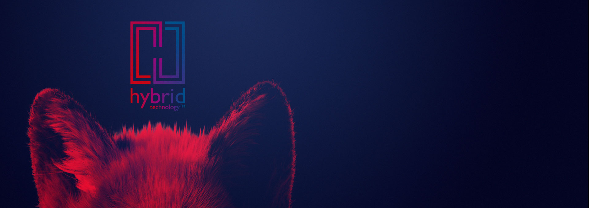 Red drawing of fox ears on dark blue background and Hybrid Technology logo of Bernafon Alpha XT hearing aids