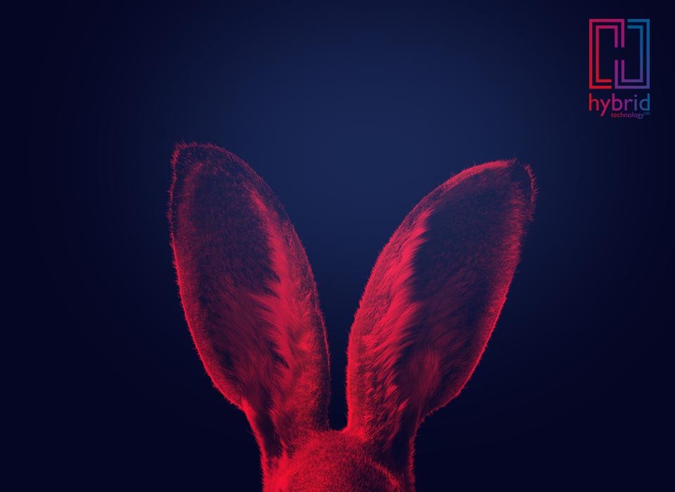 Red drawing of hare ears on dark blue background and Hybrid Technology logo of Bernafon Alpha XT hearing aids