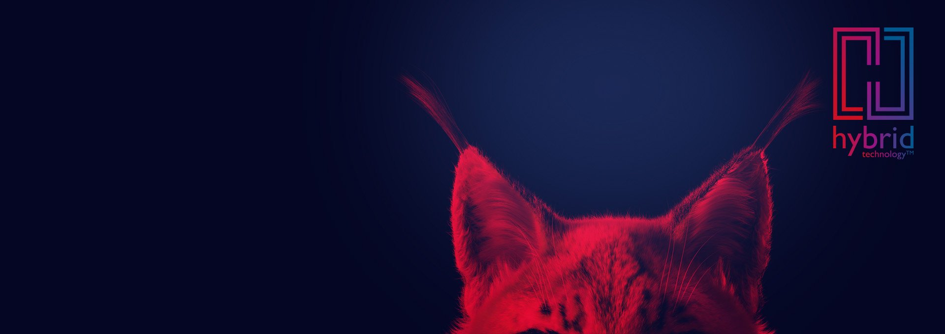 Red drawing of lynx ears on dark blue background and Hybrid Technology logo of Bernafon Alpha XT hearing aids