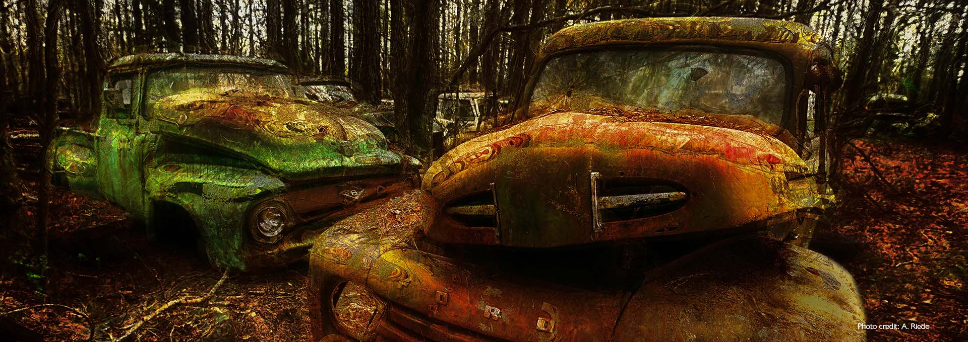 Zdjęcie dwóch starych, zardzewiałych, zielonych i brązowych samochodów na cmentarzu samochodowym w lesie sfotografowane przez użytkowników aparatów słuchowych Bernafon Alpha