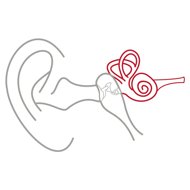 Illustration af det ydre øre, mellemøret og det indre øre med det indre øre fremhævet med rødt