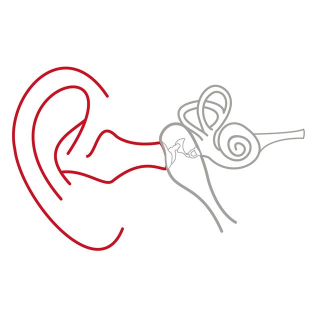 Illustration af det ydre øre, mellemøret og det indre øre, hvor det ydre øre er fremhævet med rød