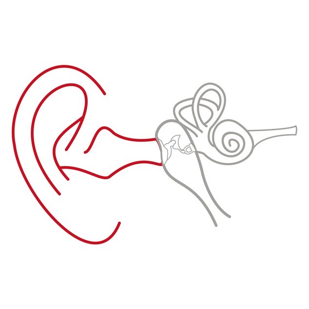 Ilustración del oído externo, el oído medio y el oído interno con el oído externo resaltado en rojo