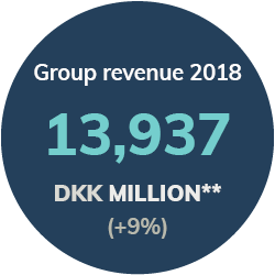 Group-revenue-2018