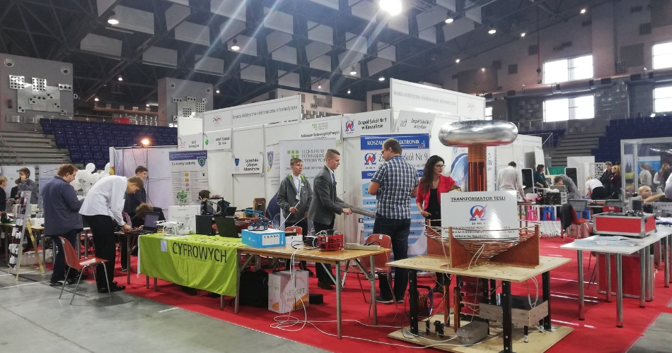 wspolpraca_zsee_w_tekscie4