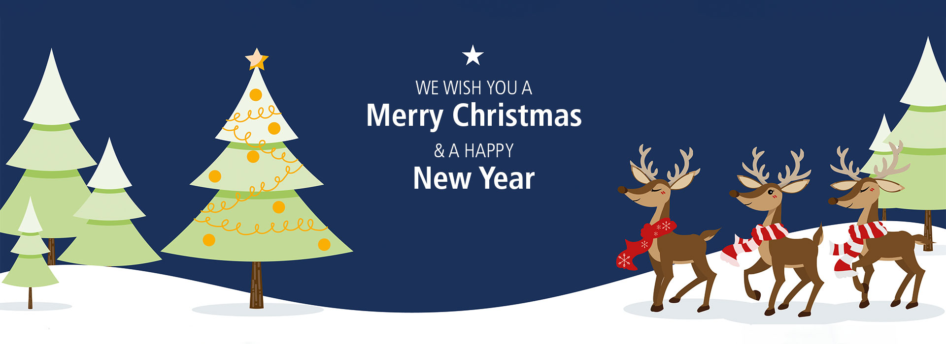 MAICO wishes merry christmas and a happy new year
