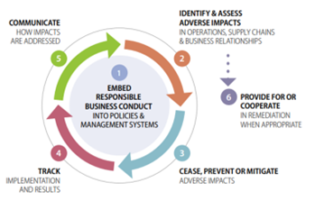 oecd-guidelines