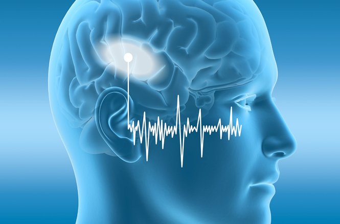 dtu-brain-and-hearing_adobestock_110326912
