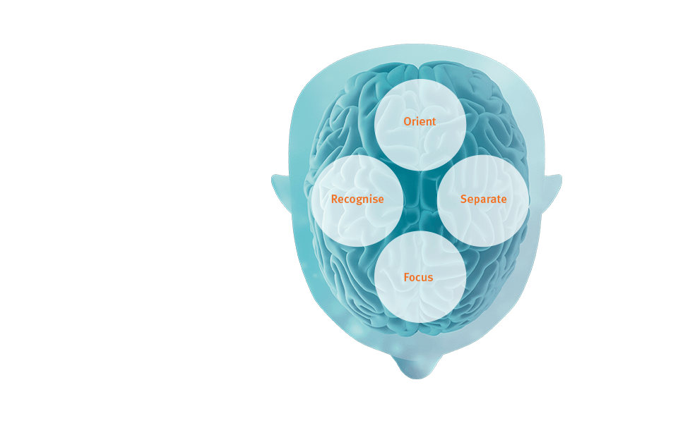 BrainHearingª provides audibility and signal processing that support the brain's cognitive processes.  