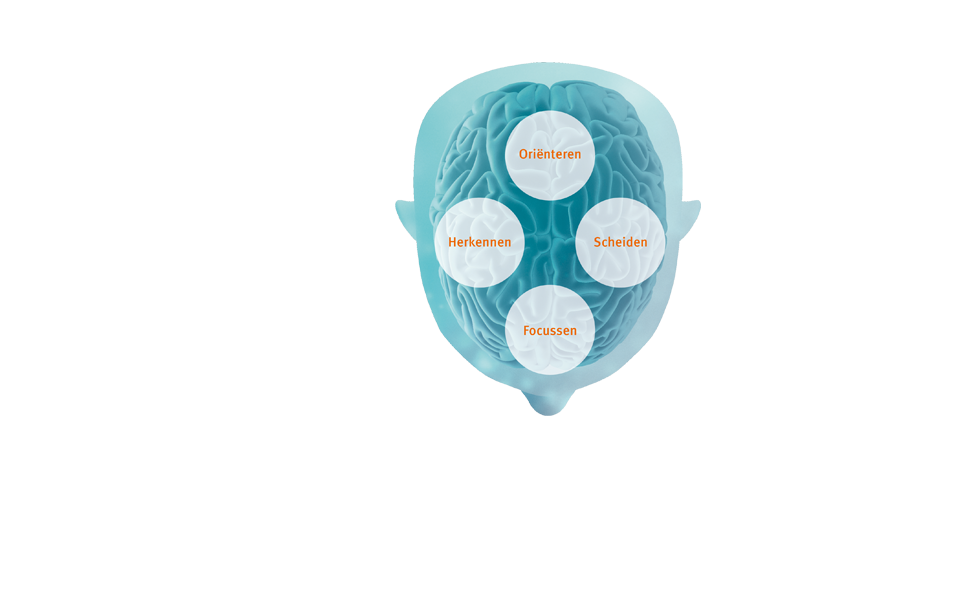 960x600-bahs-solutions-sound-processors-brainhearing-nl