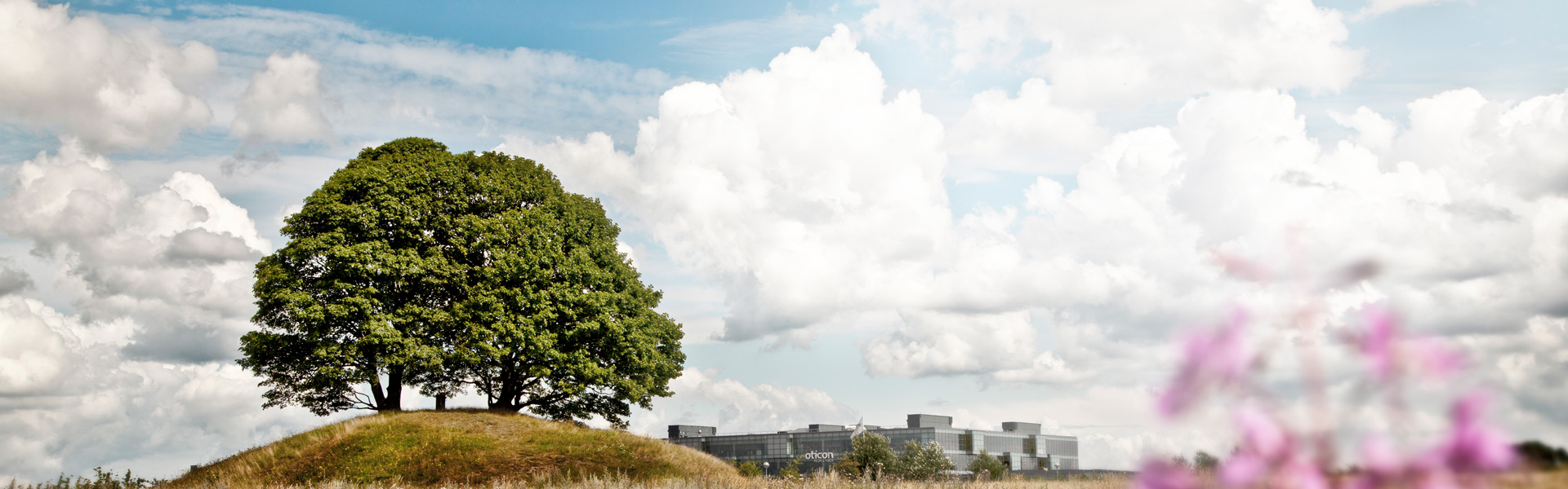 Welcome to the magical world of sound - Oticon Medical offers bone anchored hearing systems  and cochlear implant solutions.