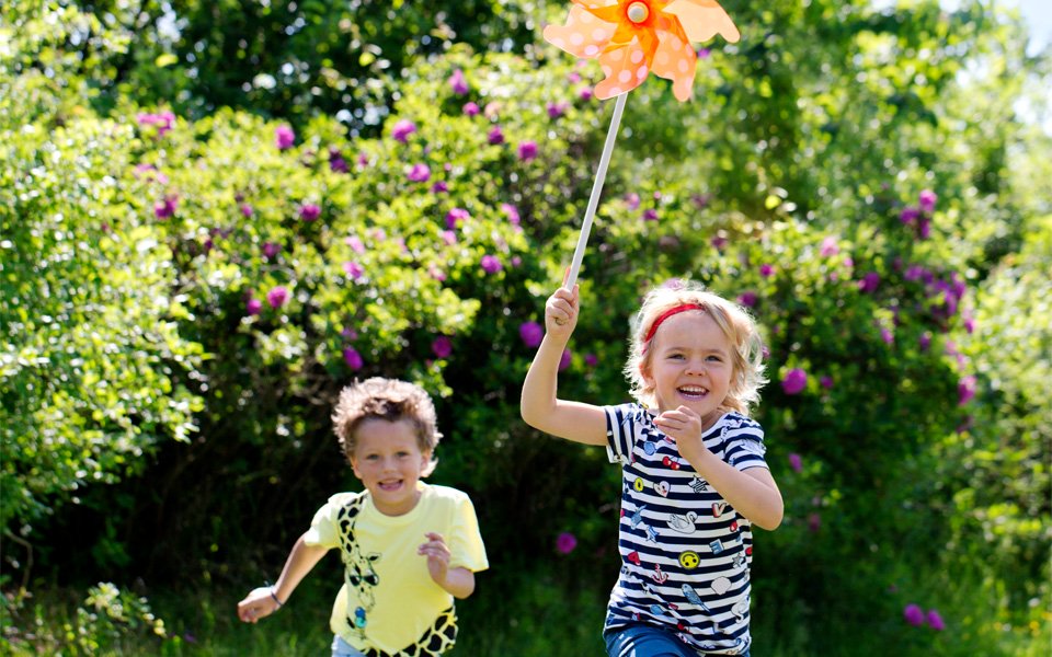 How does the Ponto softband work?